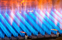Netley Marsh gas fired boilers